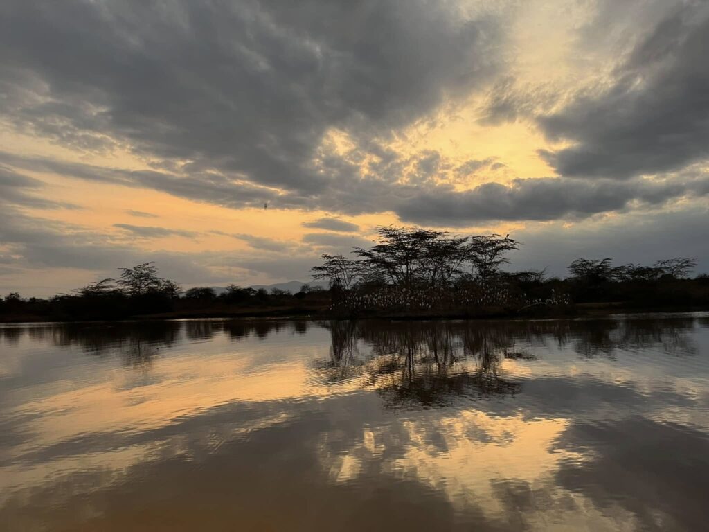 Forêts sacrées de Kenya